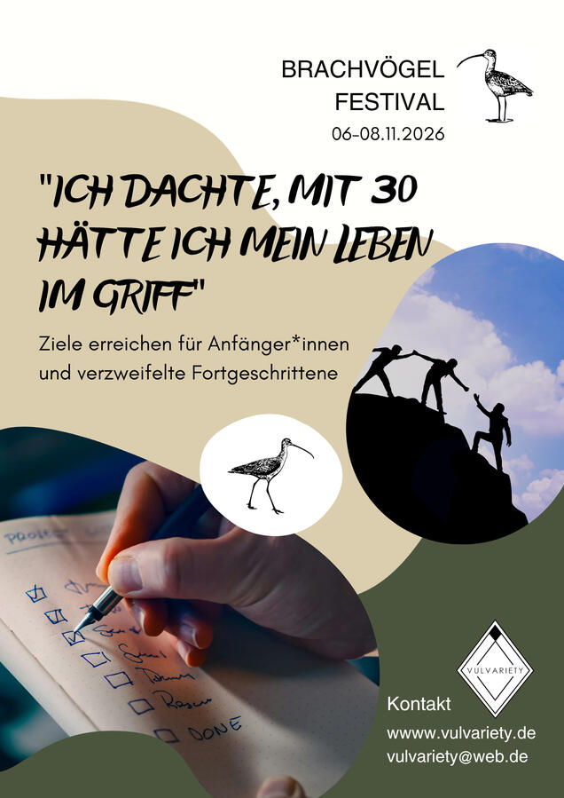 Brachvögel-Festival